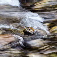 What Grief Taught Me About Leadership and Personal Resilience - blog header