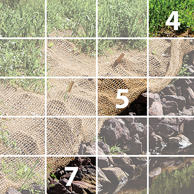 A 10 by 5 grid of squares with numbers 1 through 8 in select squares on top of stones and wooden stakes securing fiber netting on top of a s