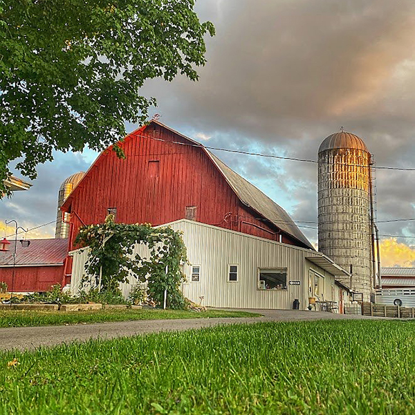 Visits to ranches and farms like Sunset View Creamery are seen as a way to add to their bottom line. Photo courtesy of Sunset View Creamery.