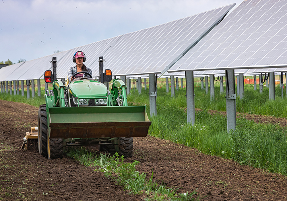 Farm manager Brittany Staie driving a tractor between rows of solar arrays.