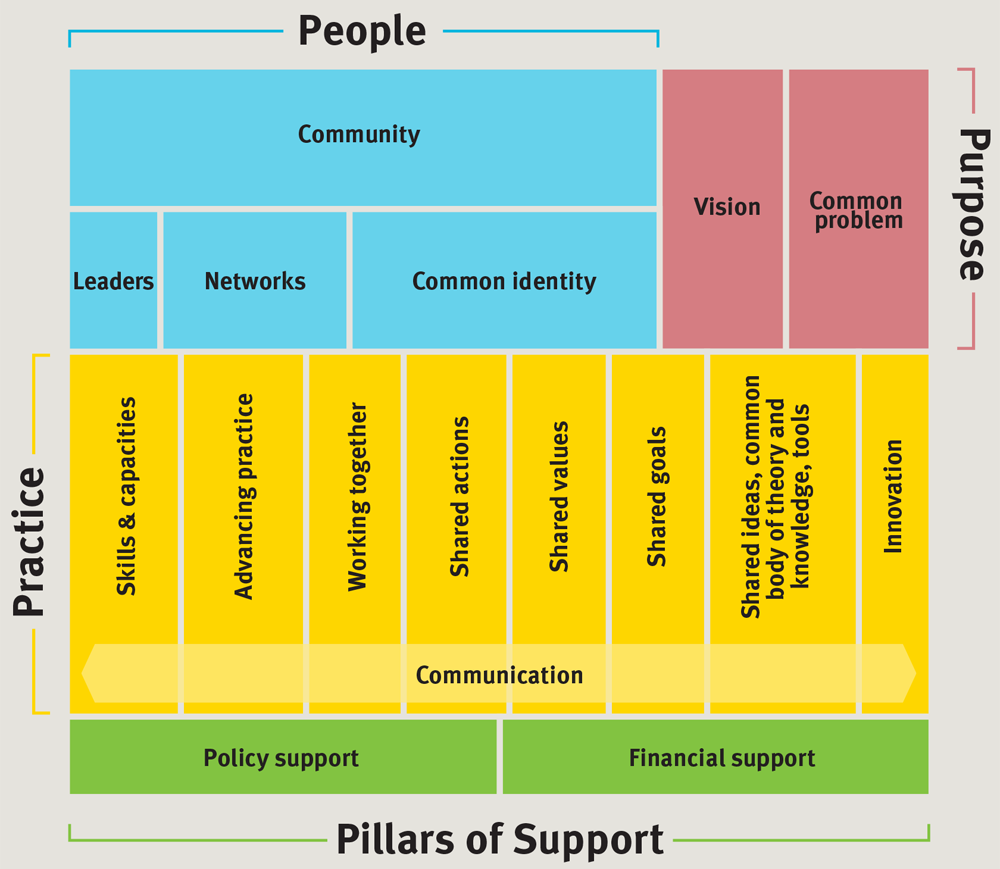 The 4Ps of a Field: Purpose, people, practice, and pillars