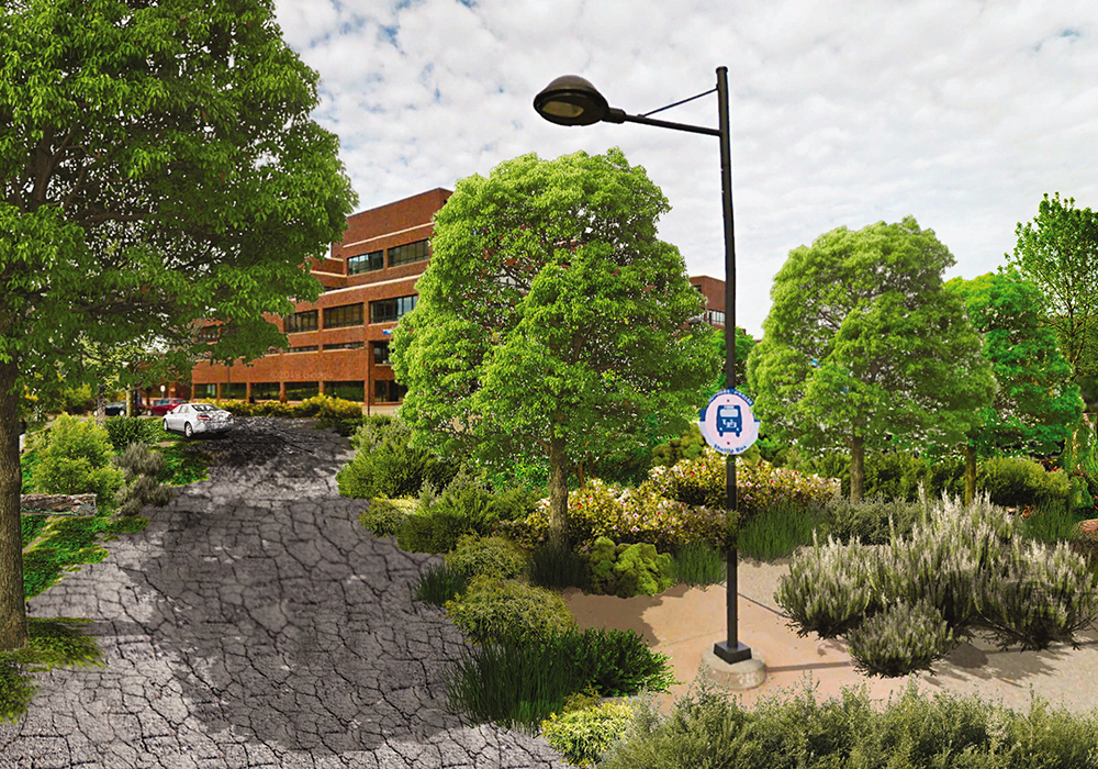 Figure 1: Visualizing the transgressive urban forest at SUNY Buffalo North Campus and in downtown Tulsa.