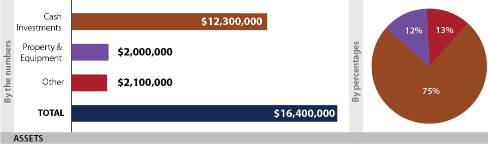 2018 Annual Report Assets