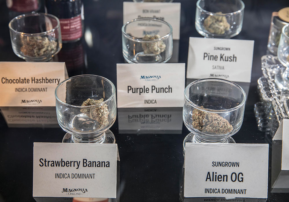 A display at Magnolia Oakland dispensary in California. Photo by Mark Petersen/Redux.