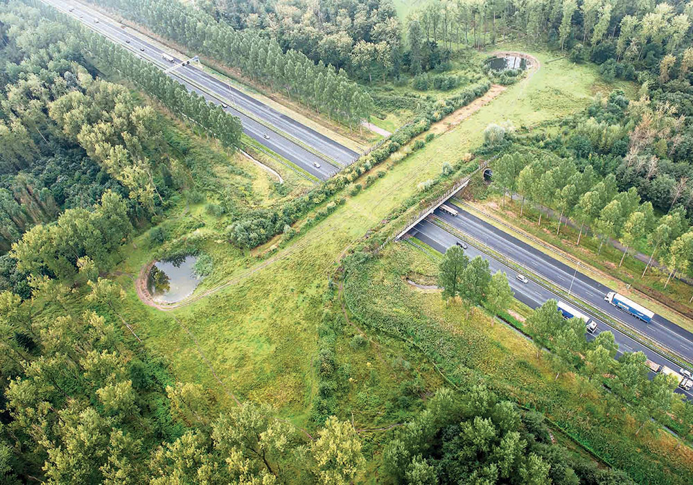 Photo by Joop van Houdt/Rijkswaterstaat.