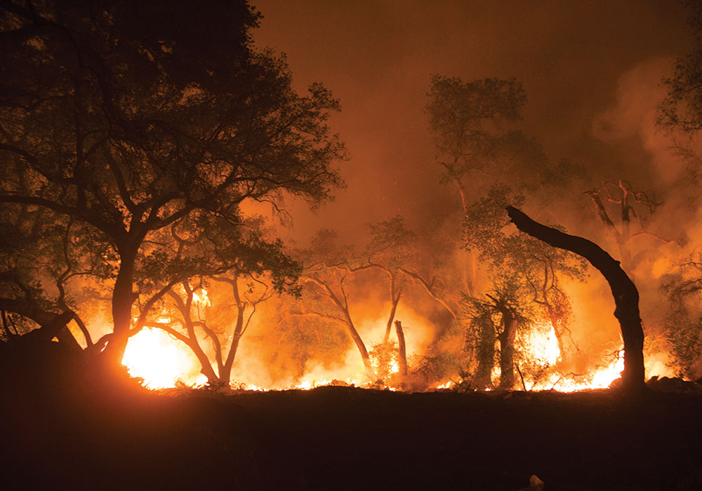 Flames from the Thomas Fire as they approach Santa Paula, near Highway 150 in Southern California. JPhilipson/iStock/Getty Images Plus.