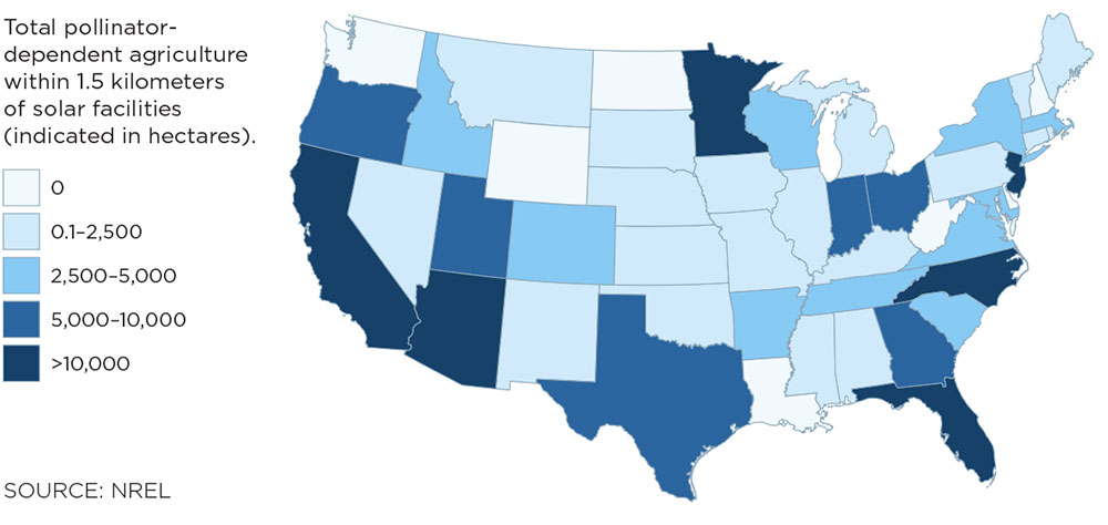 Pollinator habitats on solar farms can provide billions of dollars in pollination services. Source: NREL.