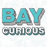 Bay Curious