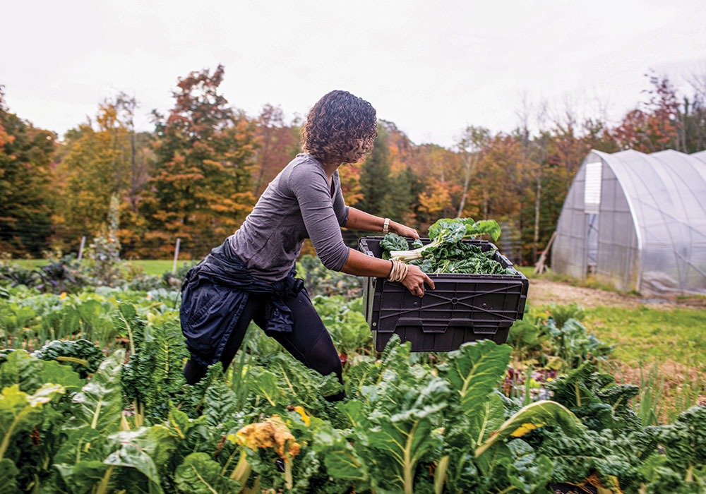Planning Winter 2021 Local Food Systems Key to Healthy, Resilient, Equitable Communities Soul Fire Farm is an Afro-Indigenous centered community farm committed to ending what food justice advocates call "food apartheid." Its food sovereignty programs reach more than 10,000 people a year and include training for farmers of color, urban home gardens, and produce delivery for food-insecure households. Photo by Brian Dawson/The New York Times.