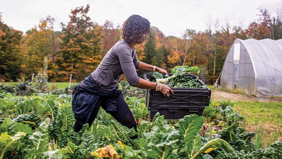 Soul Fire Farm is an Afro-Indigenous centered community farm committed to ending what food justice advocates call "food apartheid." Its food sovereignty programs reach more than 10,000 people a year and include training for farmers of color, urban home gardens, and produce delivery for food-insecure households. Photo by Brian Dawson/The New York Times.