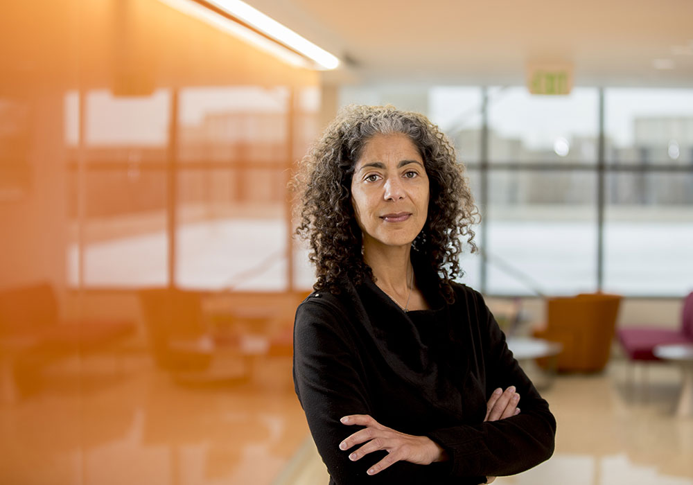 Planning Winter 2021 11 Black Urbanists Every Planner Should Know Mary Pattillo. Photo by Monika Wnuk.