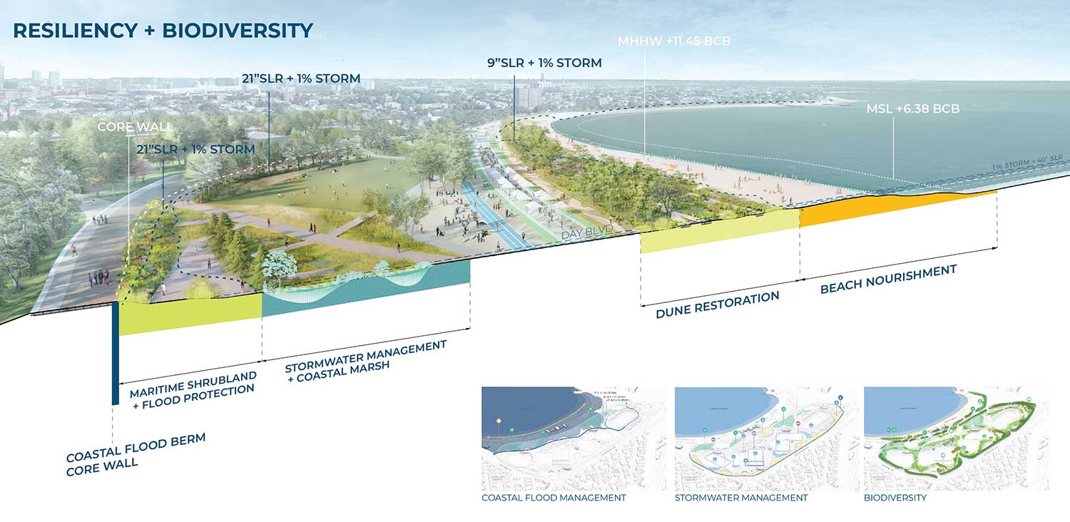 Moakley Park resilience strategies integrate coastal flood protection, stormwater marshes and extensive tree tree canopy planting, biodiversity and urban heat island reduction initiatives. Image copyright Stoss Inc.