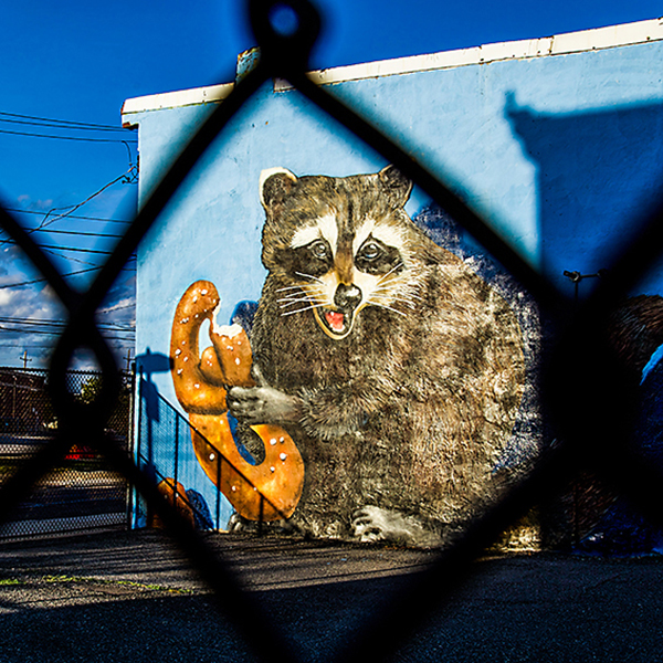 Happy Raccoon by V.U.R.T. Creative, E. Sergeant St. and Webb St., Port Richmond.