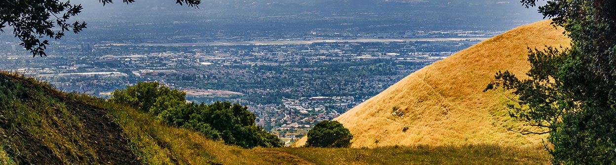 Homepage July 1, 2019 - Wild-Urban Interface