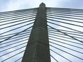 Close up of the Tilikum Crossing bridge in Portland