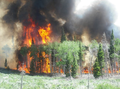 Wildfire in Oregon