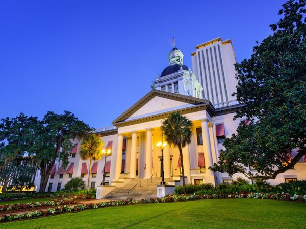 Picture of the Florida Capital